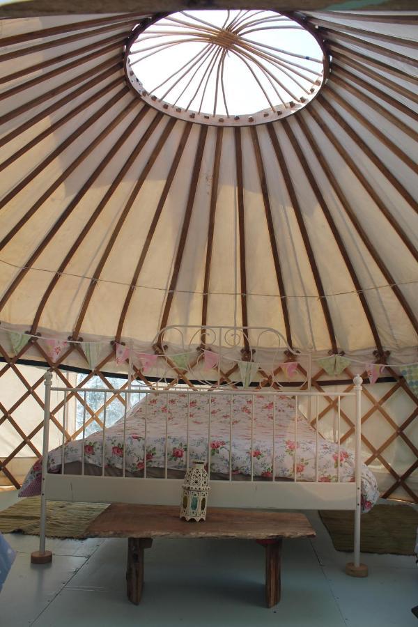 Mill Haven Place Glamping-Yurt 2 Haverfordwest Esterno foto